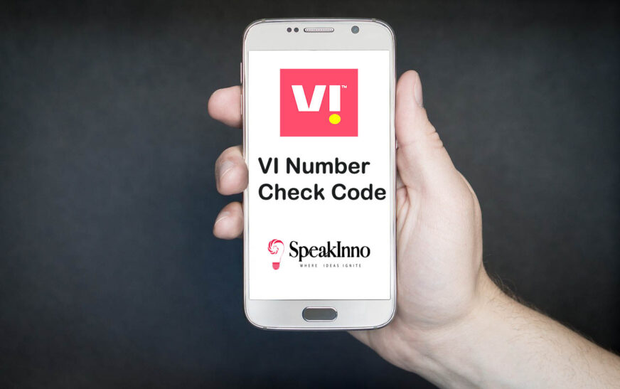 VI Number Check Code